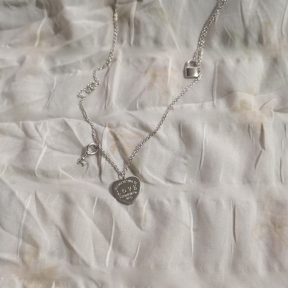 Tiffany & Co 18k White Gold Heart-Shaped Tag Key Necklace - Picture 2 of 7